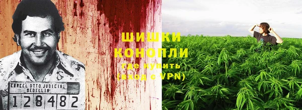 дмт Нягань