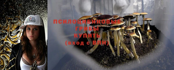 дмт Нягань
