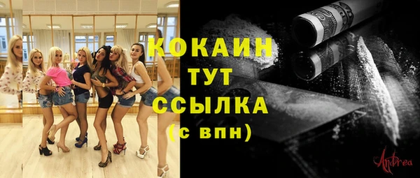 дмт Нягань